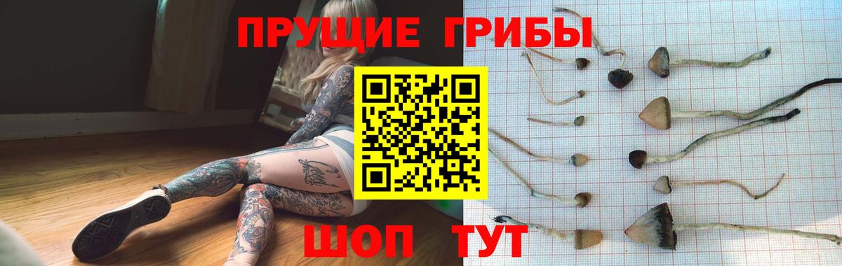 Энгельс  купить наркотик  Вход с VPN  Галлюциногенные грибы MAGIC MUSHROOMS 